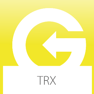 Palestra GYM2000 TRX